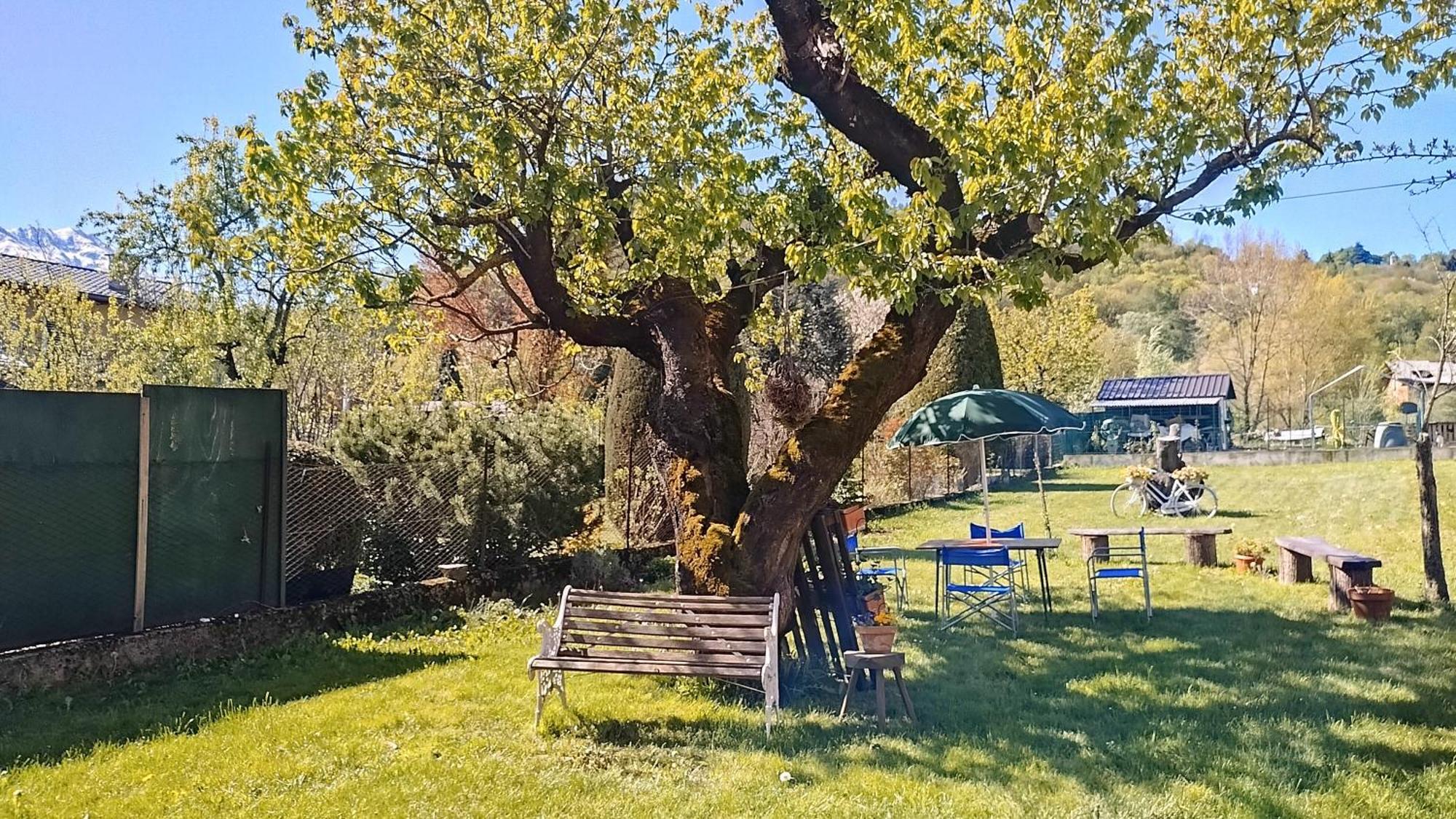 Il Cortile Διαμέρισμα Boves Εξωτερικό φωτογραφία